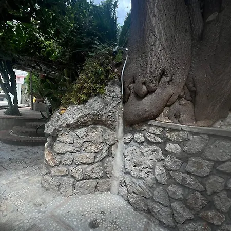 La Roccetta דירה